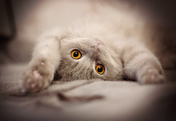 Similar image 12580547