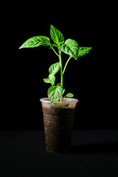 Similar image 12581589