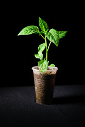 Similar image 12581590