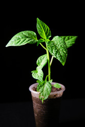 Similar image 12581599