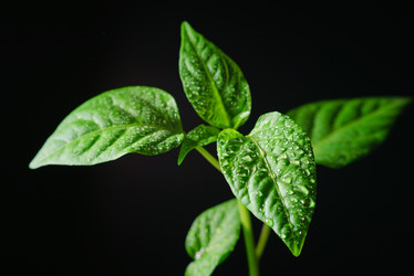 Similar image 12581600