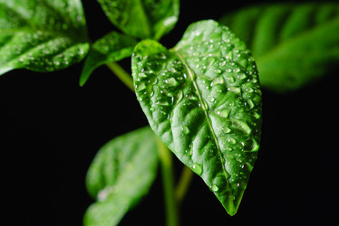 Similar image 12581601