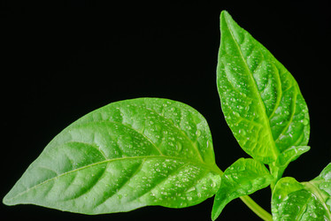 Similar image 12581603