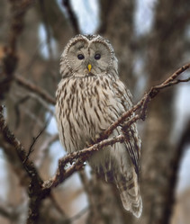 Similar image 12489733