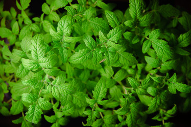 Similar image 12581648