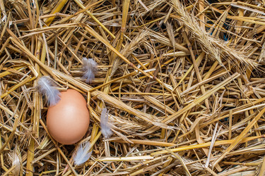 Similar image 12581106