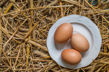 Similar image 12581110