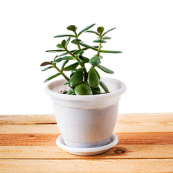 Similar image 12581111