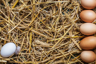 Similar image 12581129