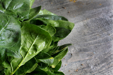 Similar image 12583357