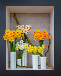 Similar image 12507921