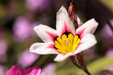 Similar image 12596748