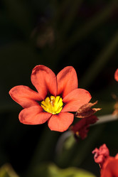 Similar image 12596765