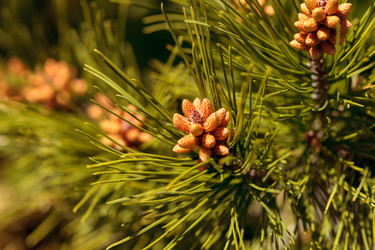 Similar image 12596766