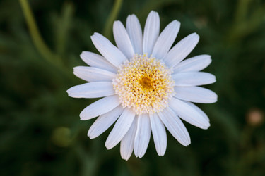 Similar image 12596771