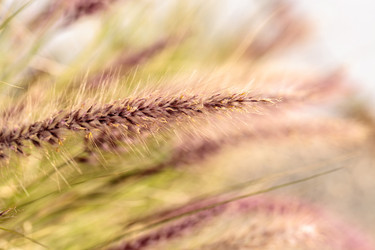 Similar image 12596772