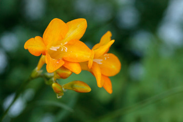 Similar image 12596773