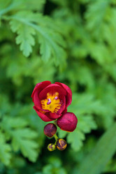 Similar image 12596774