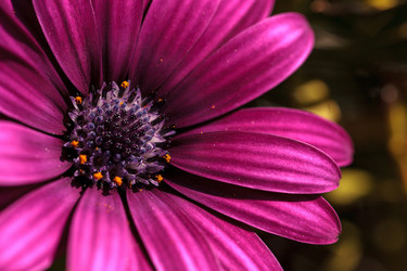 Similar image 12596777