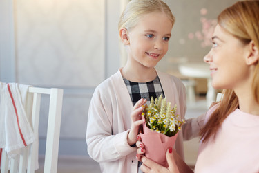 Similar image 12491229