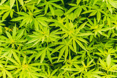 Similar image 12658637