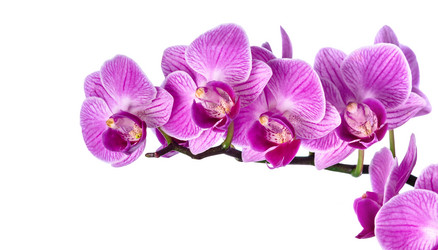 Similar image 12512492