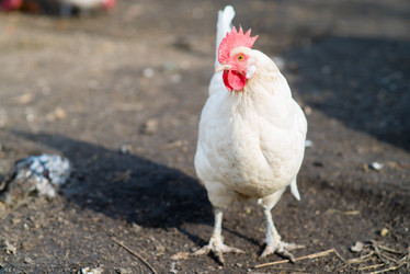 Similar image 12581650