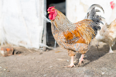 Similar image 12581652