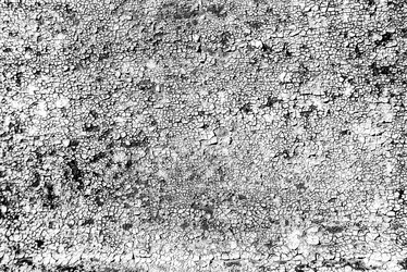 Similar image 12581654