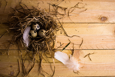 Similar image 12583084