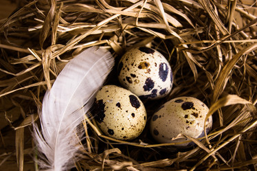 Similar image 12583092