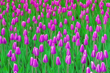 Similar image 12504645