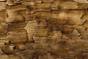 Similar image 12585200