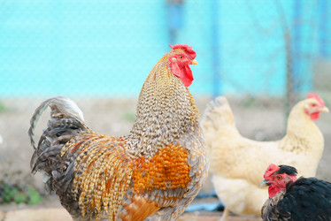 Similar image 12581656