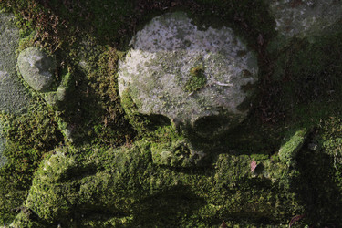 Similar image 12580145