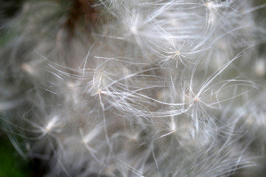 Similar image 12687404