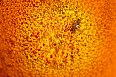 Similar image 12687405