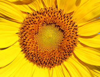 Similar image 12687413