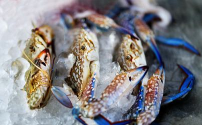 Similar image 12687417