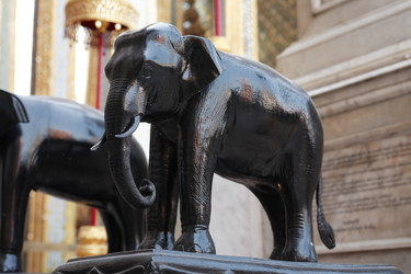 Similar image 12580153