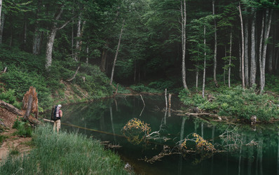 Similar image 12582323