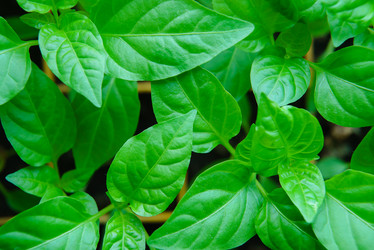 Similar image 12581657