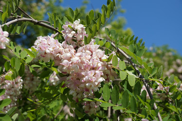 Similar image 12688087