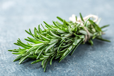 Similar image 12672684