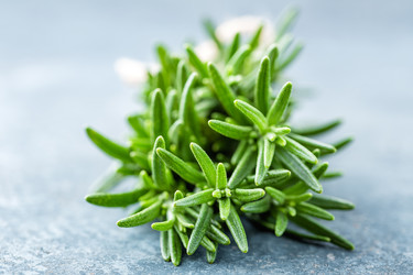 Similar image 12673270