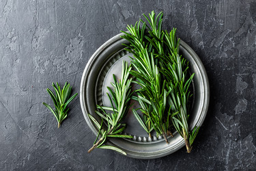 Similar image 12673582