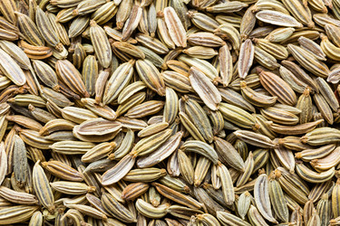 Similar image 12674214