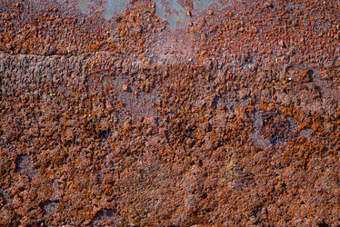 Similar image 12581679