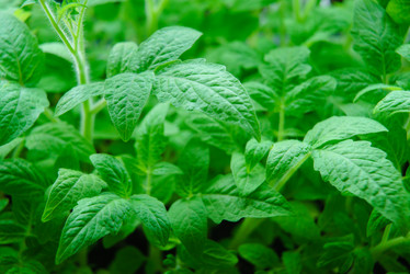 Similar image 12581605