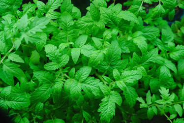 Similar image 12581606